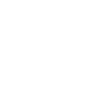Ca web dashboard icon white