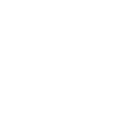 Ca web mysnfs icon white