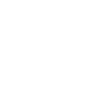 Ca web star icon white